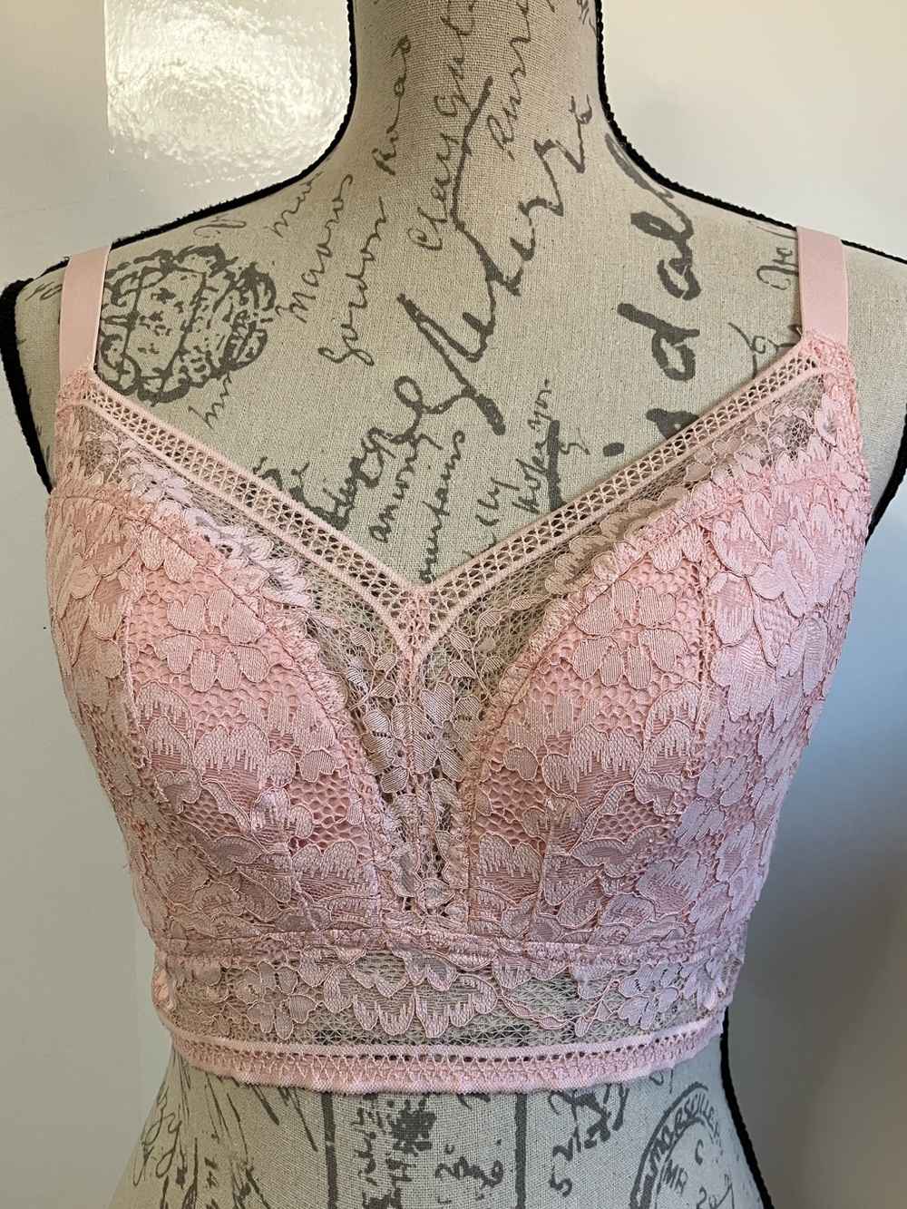 Knix Lace Longline Bra Sz XL+ in Rose Water